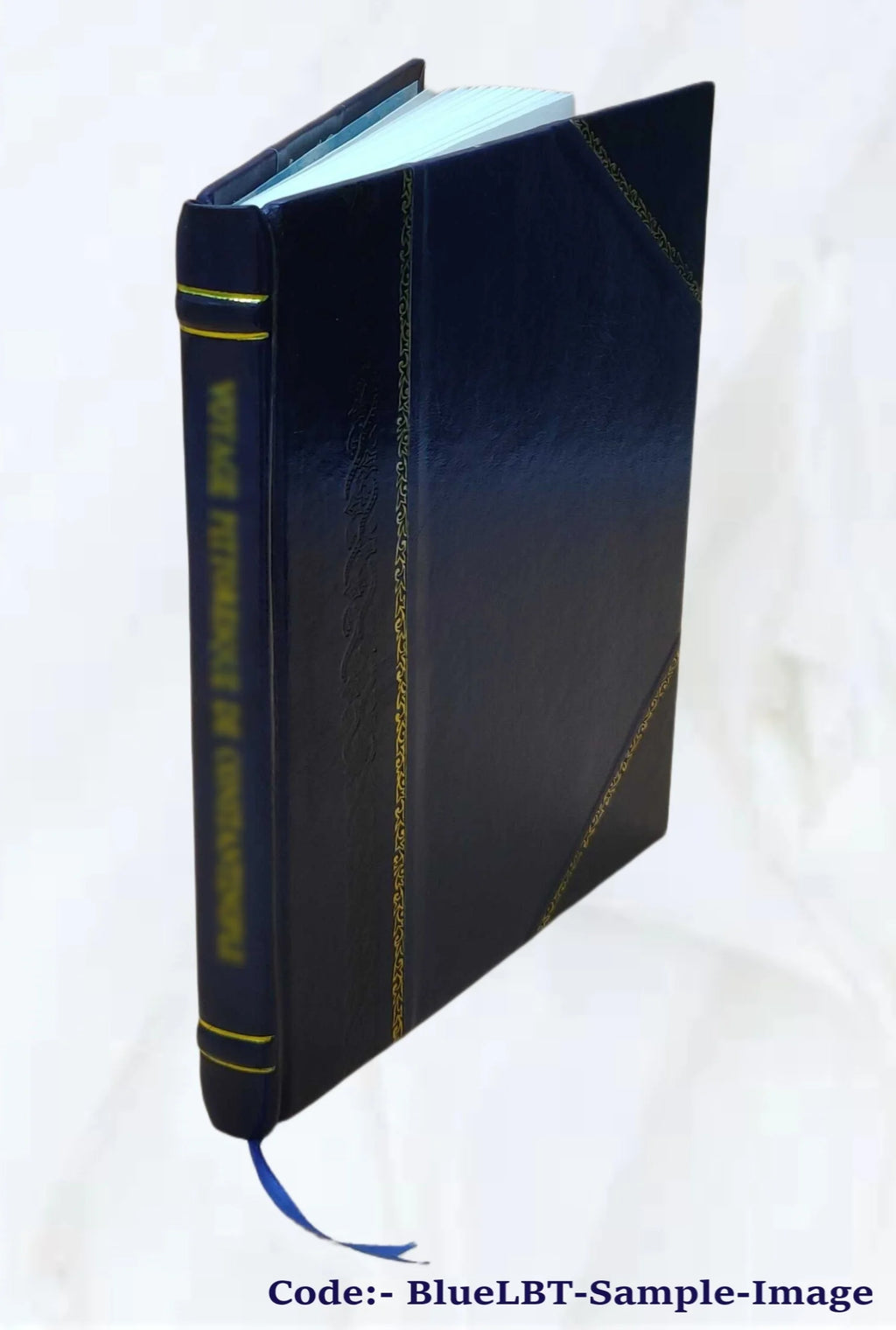 Visual Perceptions Volume 28 M561