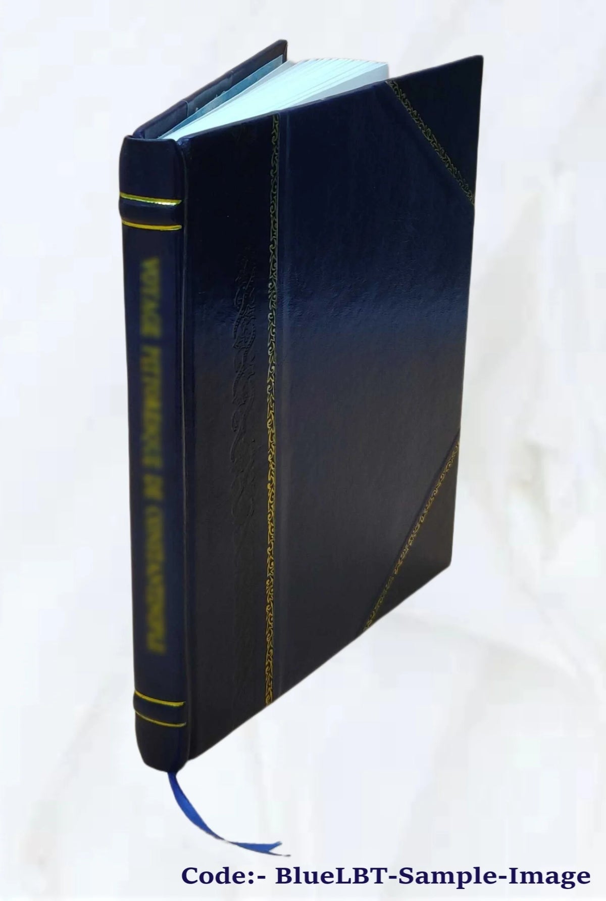 Visual Perceptions Volume 28 M561