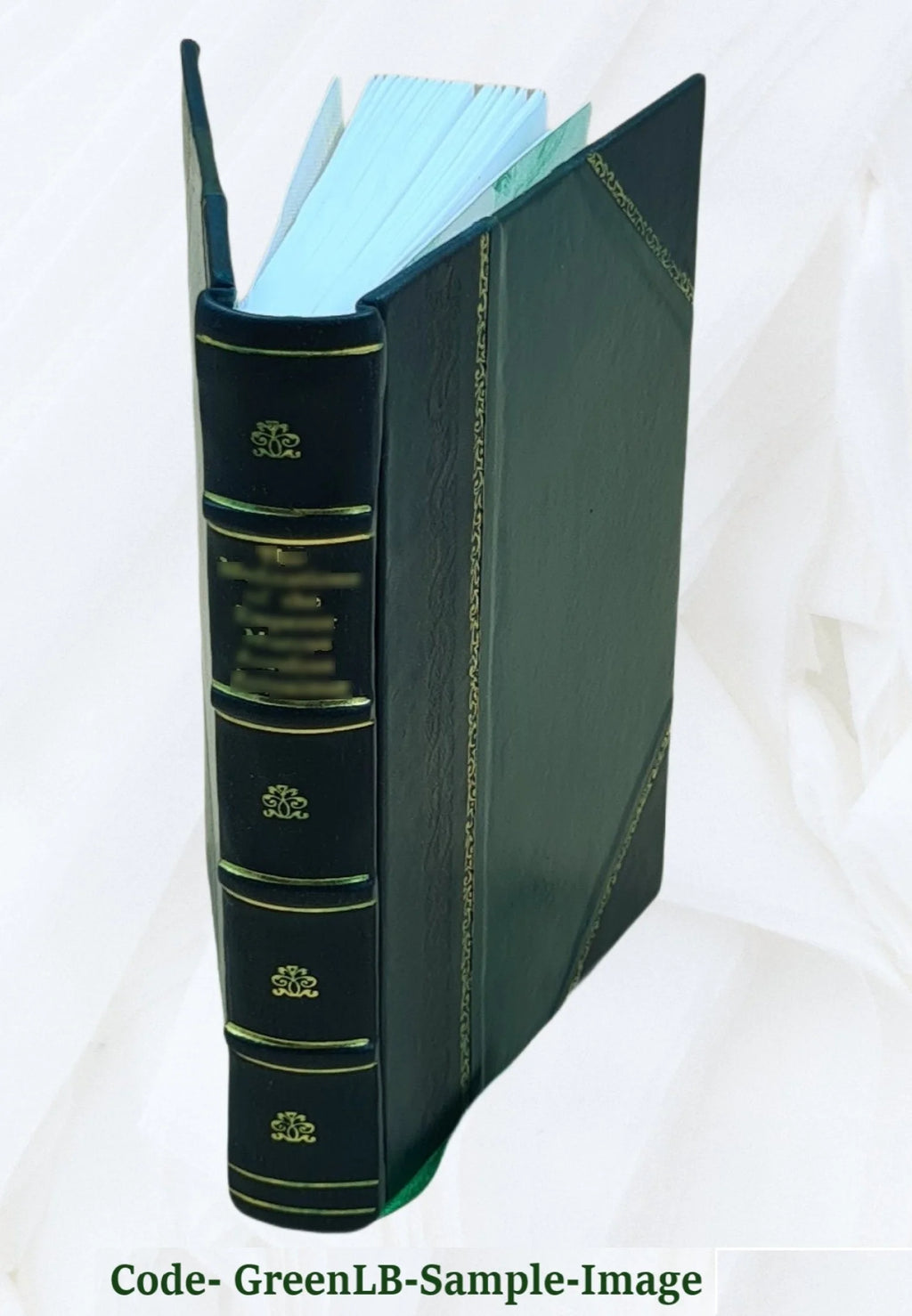 Cockpit of Santiago Key [Leather Bound] M32489