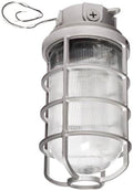 Vaporproof 22W 3in Box 1/2in Hub with Glass Globe Cast Guard T69278