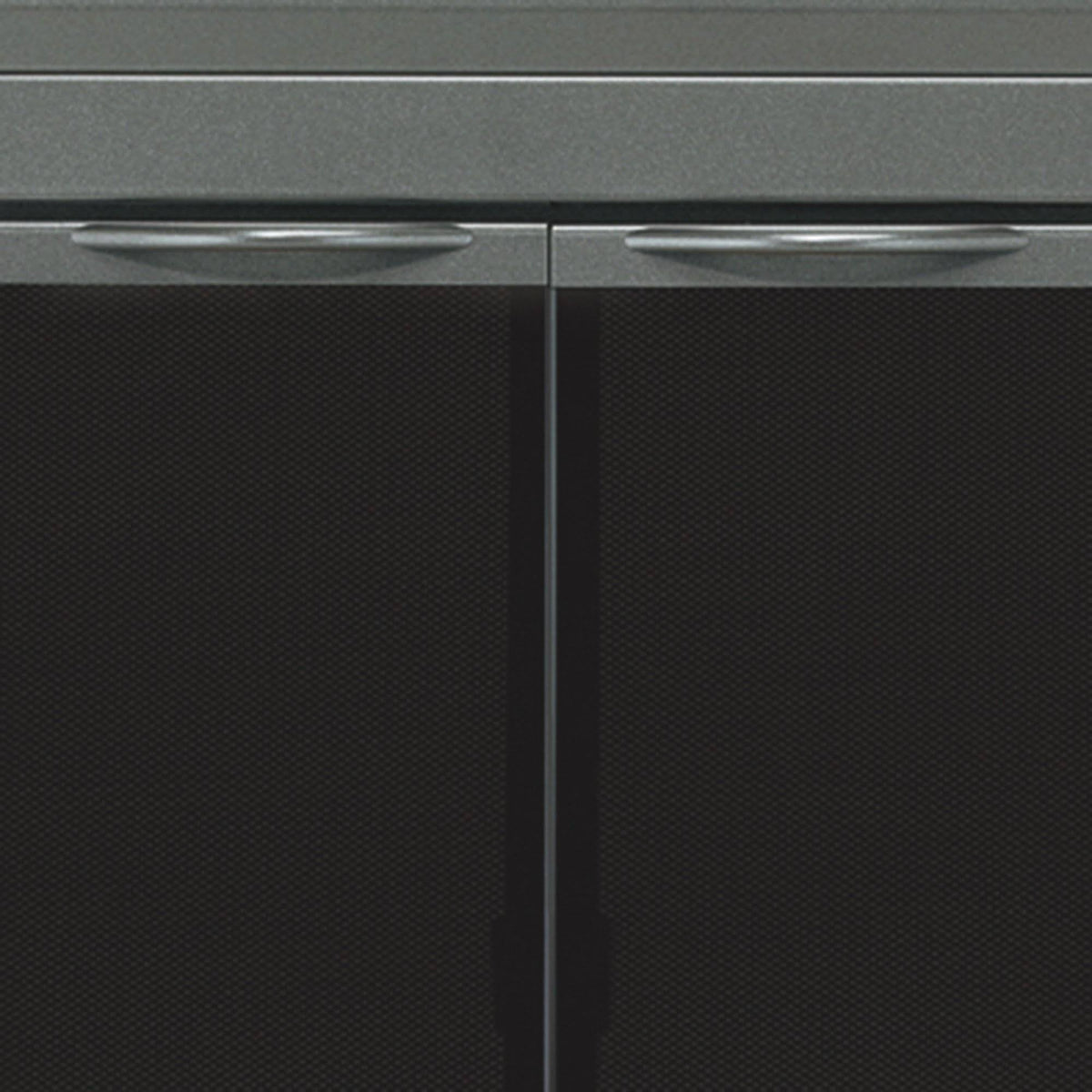 Gunmetal Large Fireplace Glass Door W4046