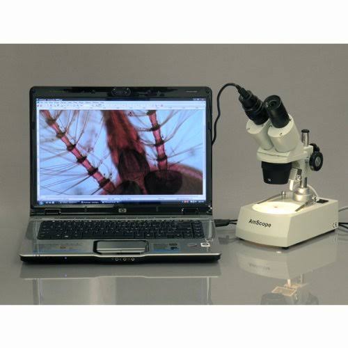 Student Forward Binocular Stereo Microscope 10X-20X-30X-60X O7618
