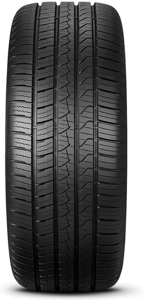 255/40R19 100V Performance Radial Tire P751