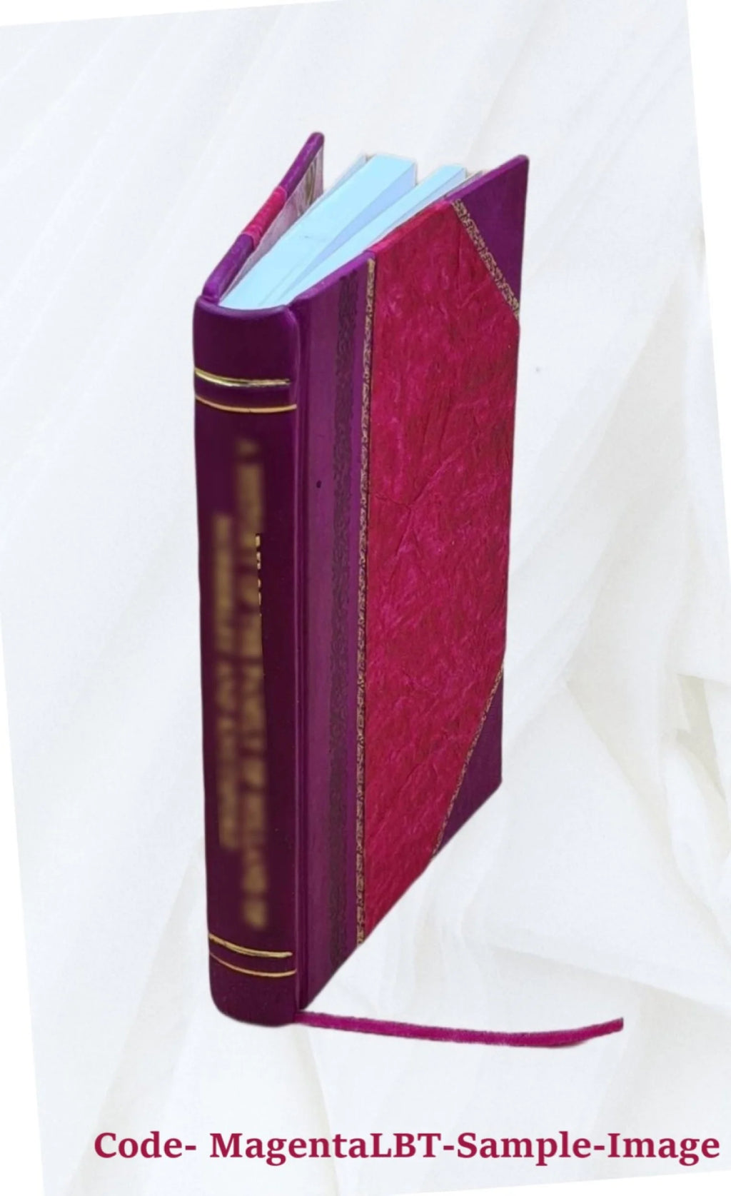 Visual Perceptions Volume 28 M561