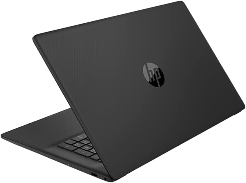 17.3" HD+ Laptop, AMD Athlon Gold 3150U, 8GB RAM, 128GB PCIe SSD + 1TB HDD, AMD Radeon, Win 10 Home V42031