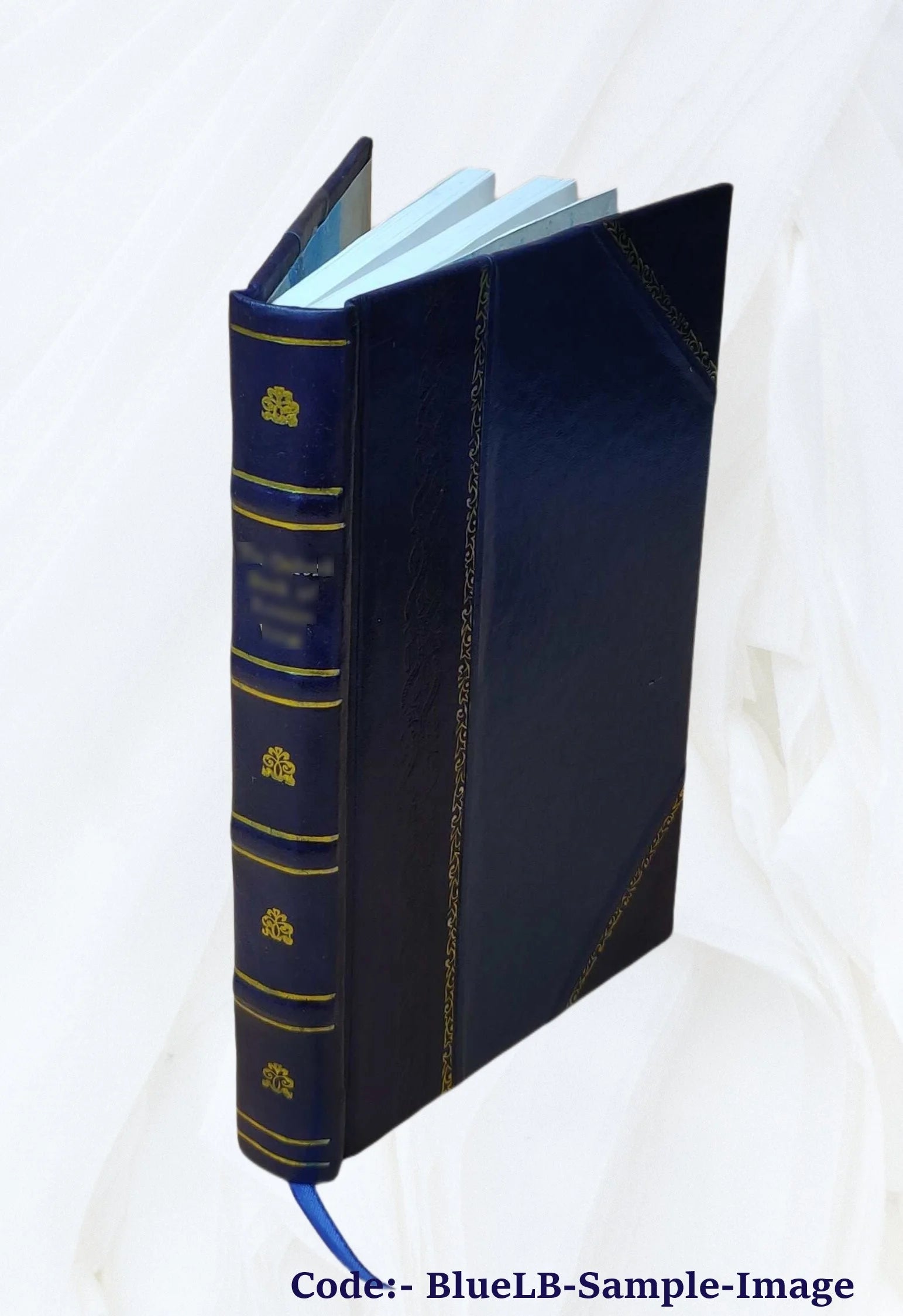 Cockpit of Santiago Key [Leather Bound] M32489