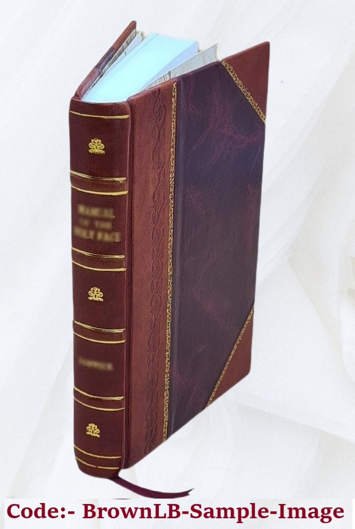 Cockpit of Santiago Key [Leather Bound] M32489