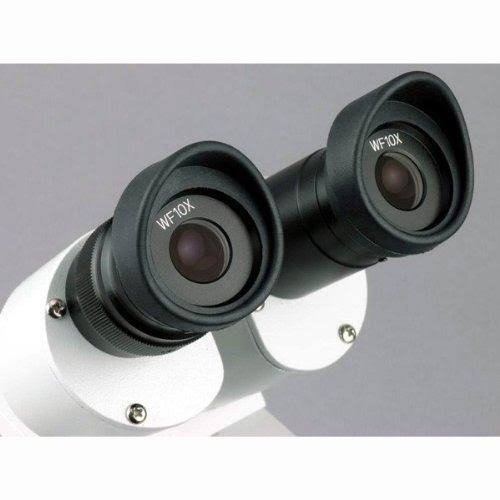 Student Forward Binocular Stereo Microscope 10X-20X-30X-60X O7618