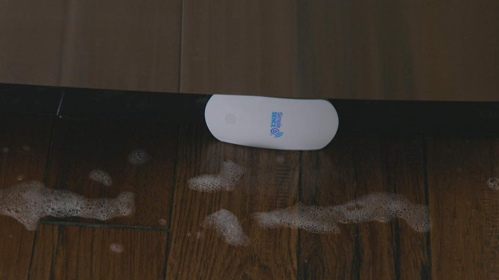 Smart WiFi Water Leak and Freeze Detector with Audible Alarm (1 Pack) B299