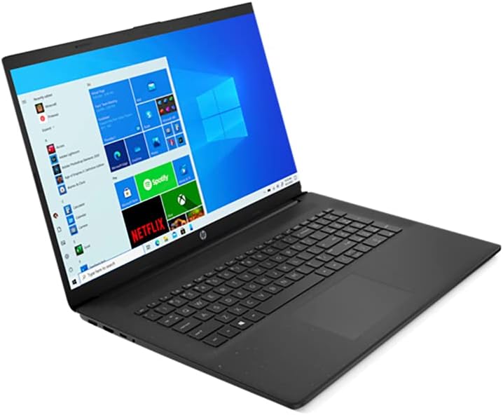 17.3" HD+ Laptop, AMD Athlon Gold 3150U, 8GB RAM, 128GB PCIe SSD + 1TB HDD, AMD Radeon, Win 10 Home V42031
