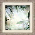 Soft Eucalyptus I X40367
