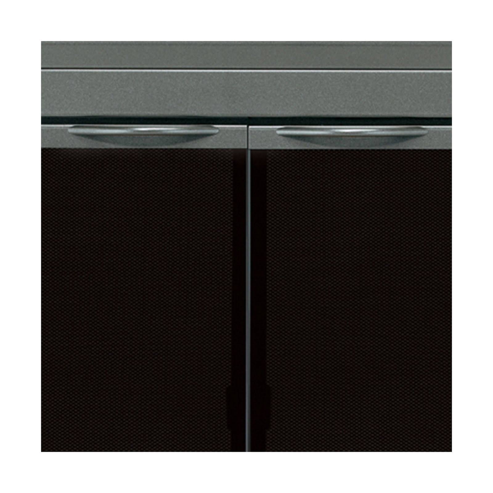 Gunmetal Large Fireplace Glass Door W4046