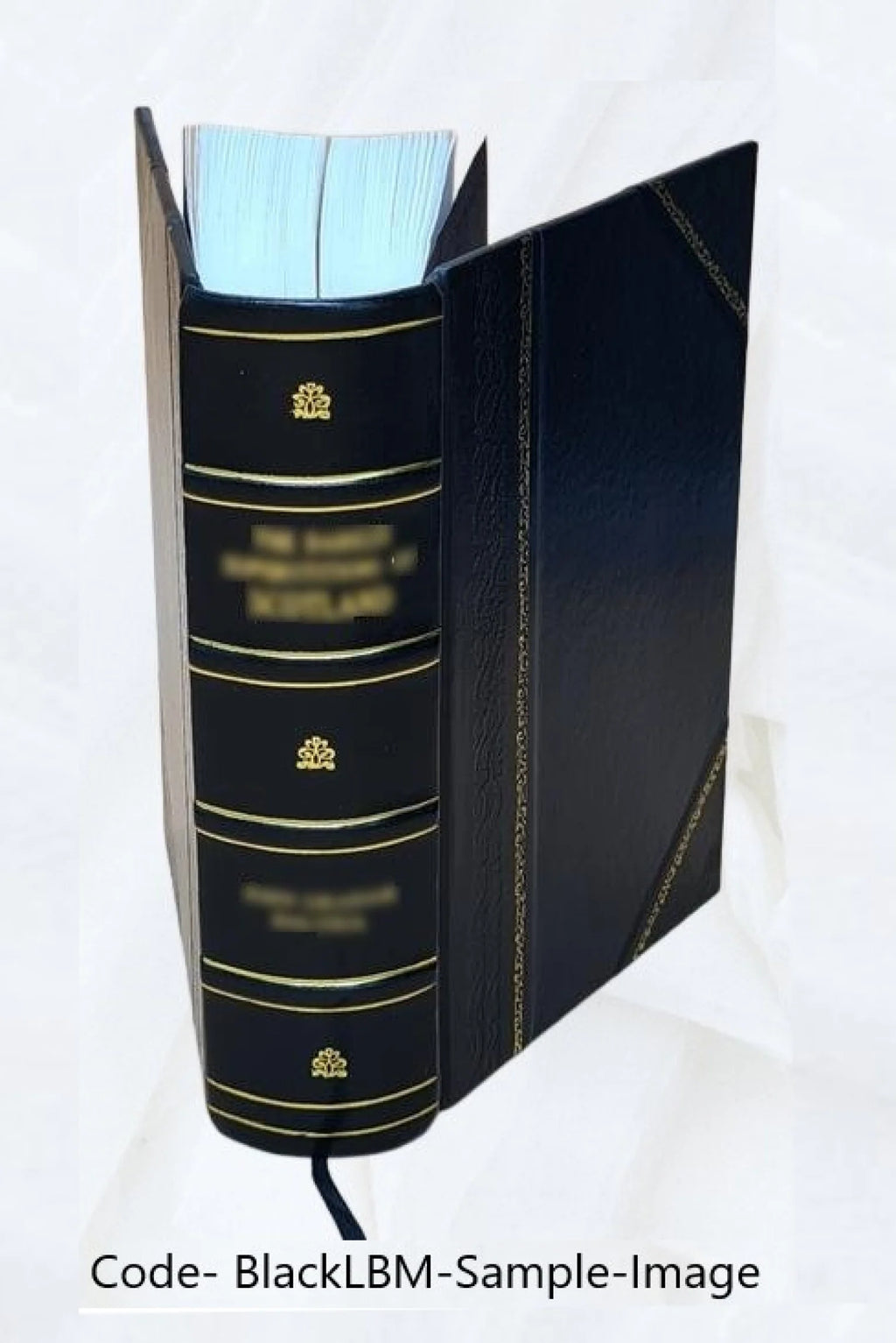 Tide Tables, High and Low Water Predictions, East Coast of North and South America, Including Greenland, 1966, Leather Bound R3439