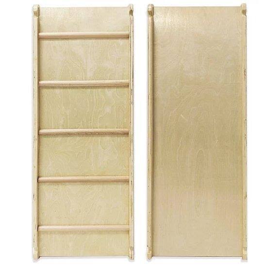 Reversible Climbing Ramp with Rungs E880