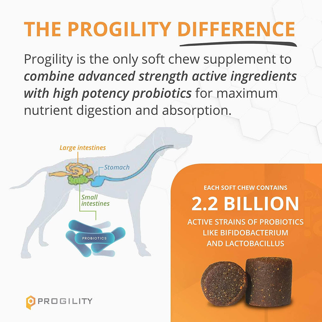 Chewable Glucosamine for Dogs H166