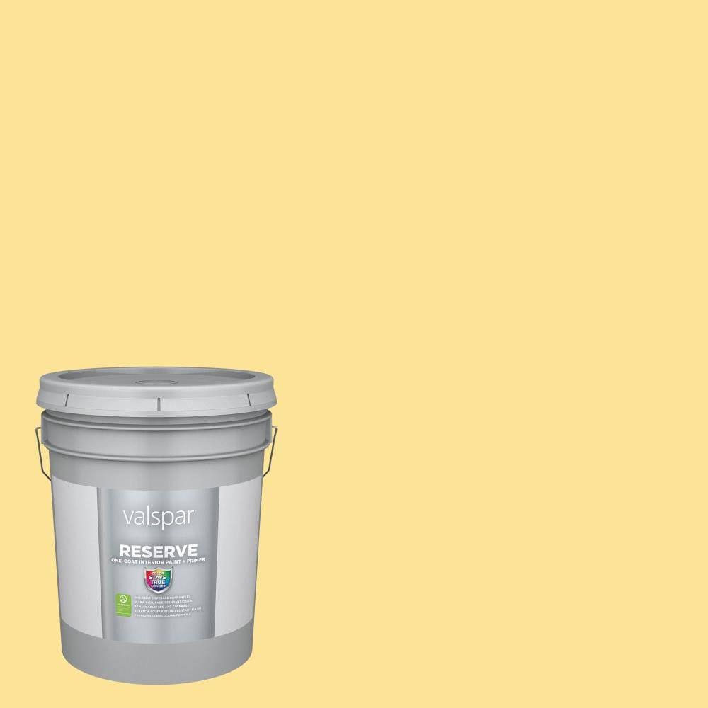 Interior Paint (5-Gallon) N37248