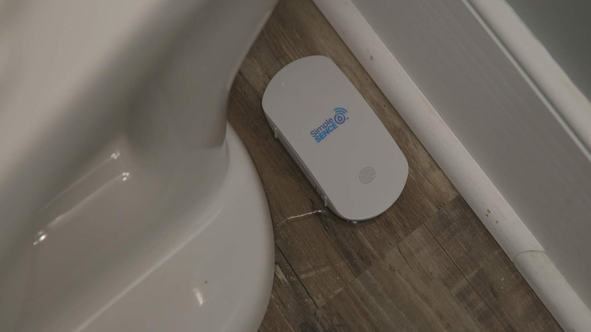 Smart WiFi Water Leak and Freeze Detector with Audible Alarm (1 Pack) B299