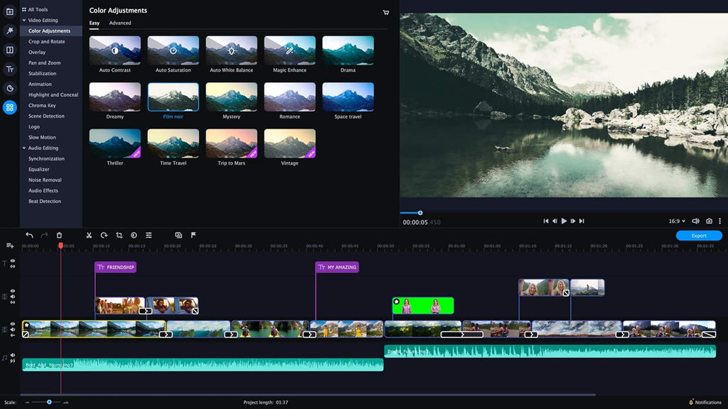 Movavi Video Editor Plus 2021 Personal license Pack of 2 G96005