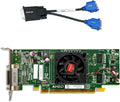 AMD Radeon HD 7350 512MB Low Profile Graphics Card Dual VGA R24216