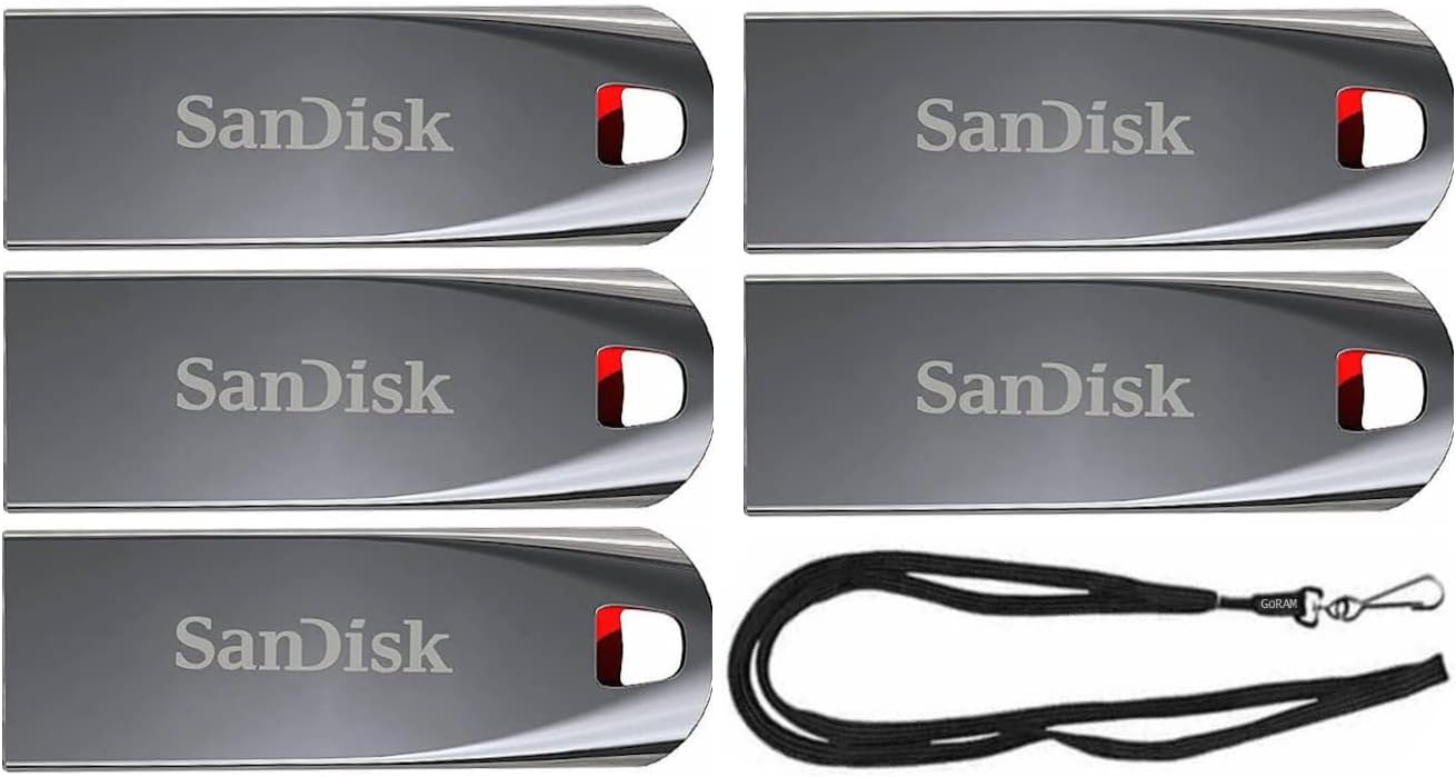 64GB 5 Pack USB 2.0 Flash Drive with Black Lanyard H480493