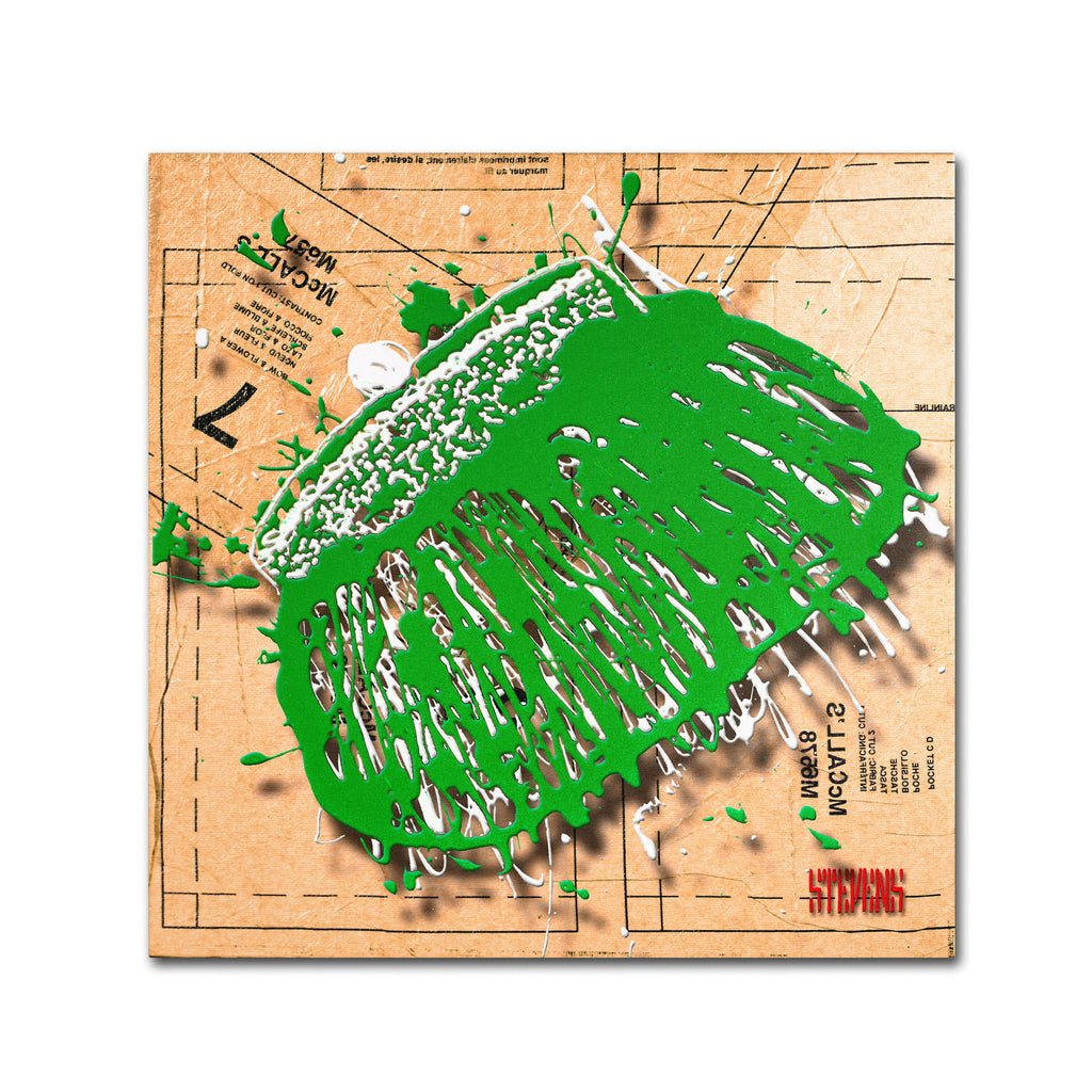 'Snap Purse Green' Canvas Art X58733