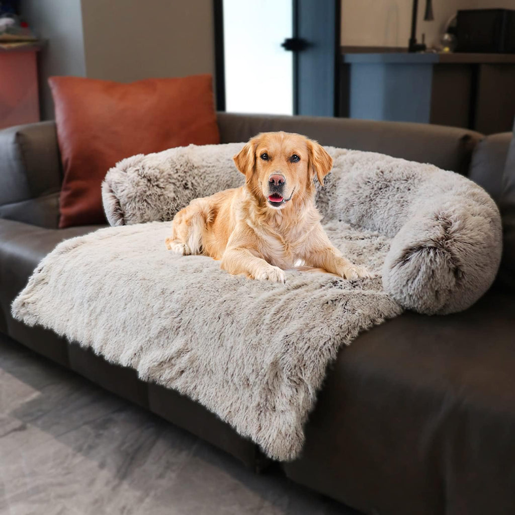 Dark Grey Large Plush Dog Sofa with Neck Bolster Q913294
