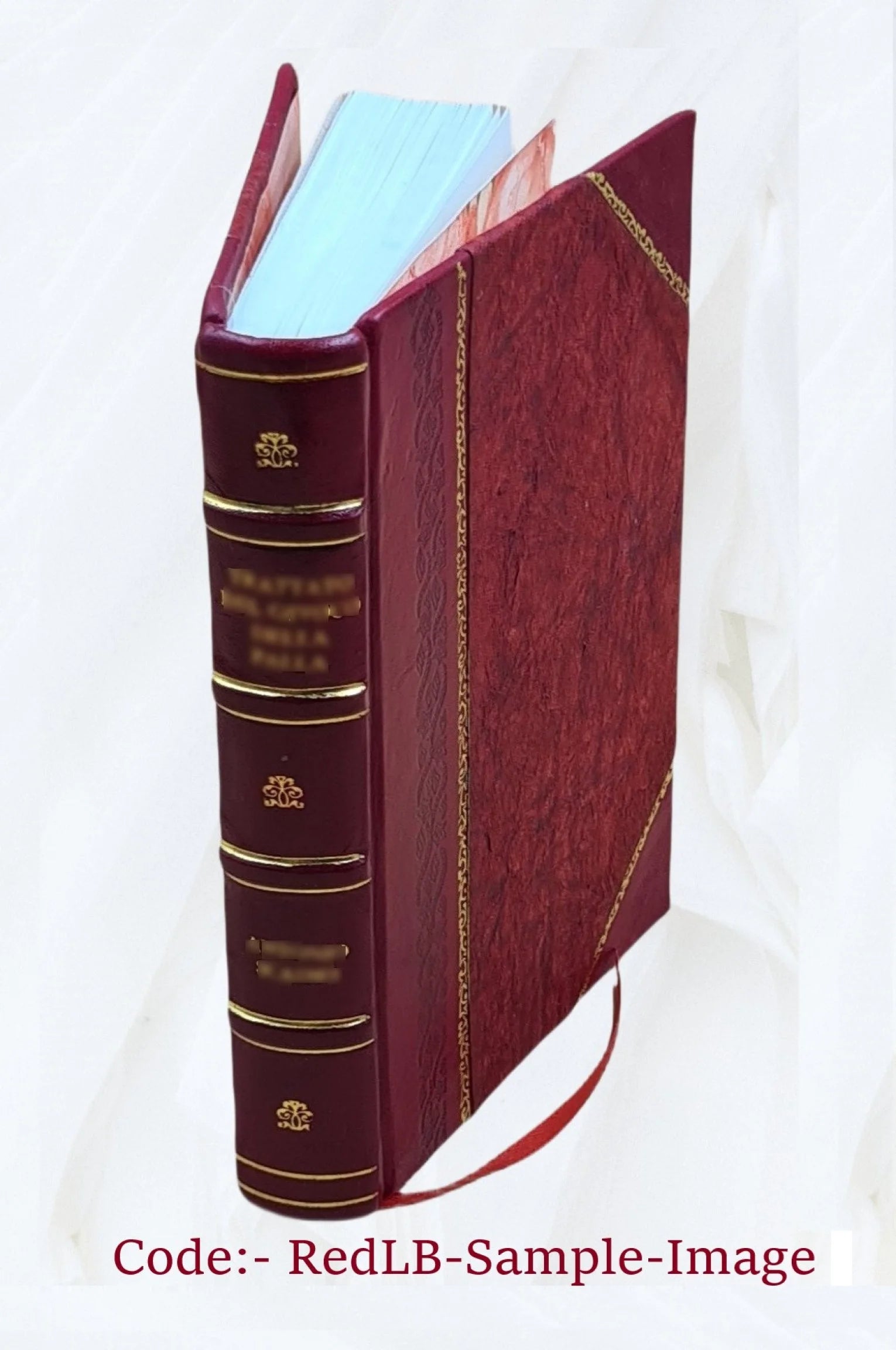 Cockpit of Santiago Key [Leather Bound] M32489